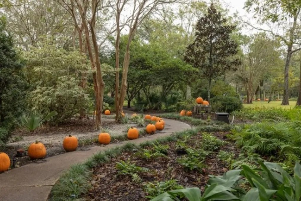 Beaumont Botanical Gardens #7