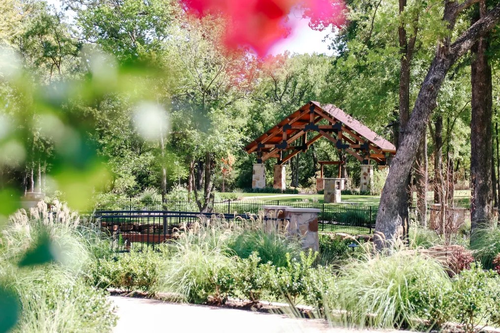 The Springs in Alvarado #19