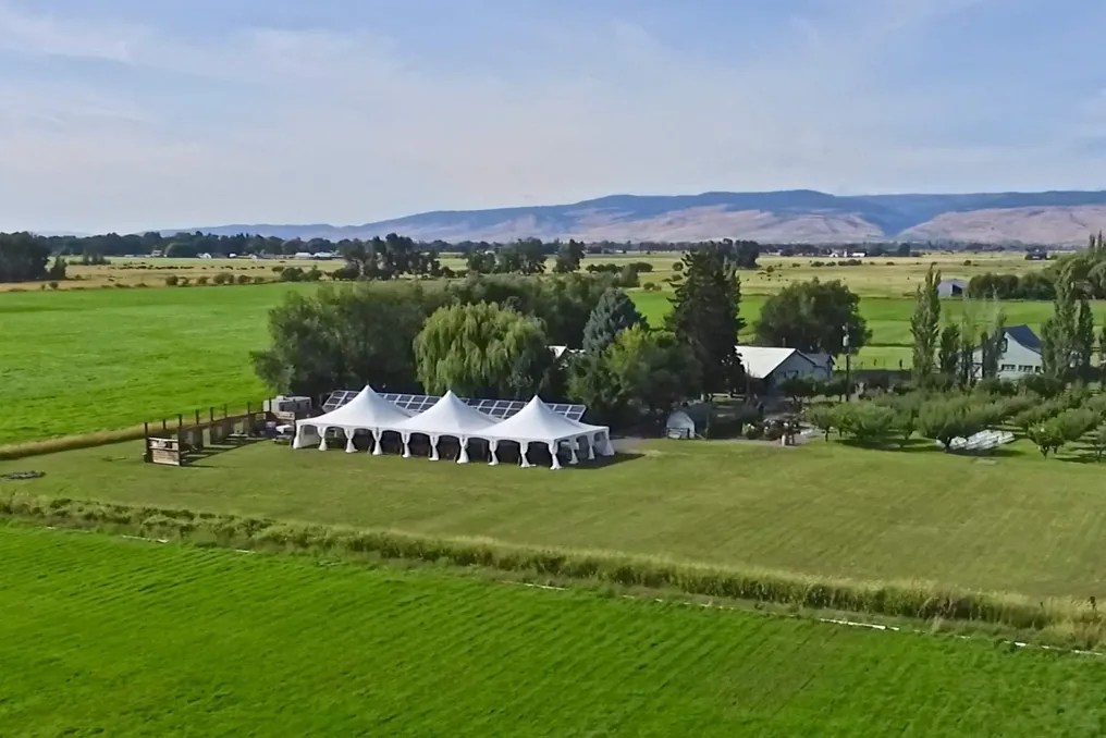 Brightside Vintage Farm #1