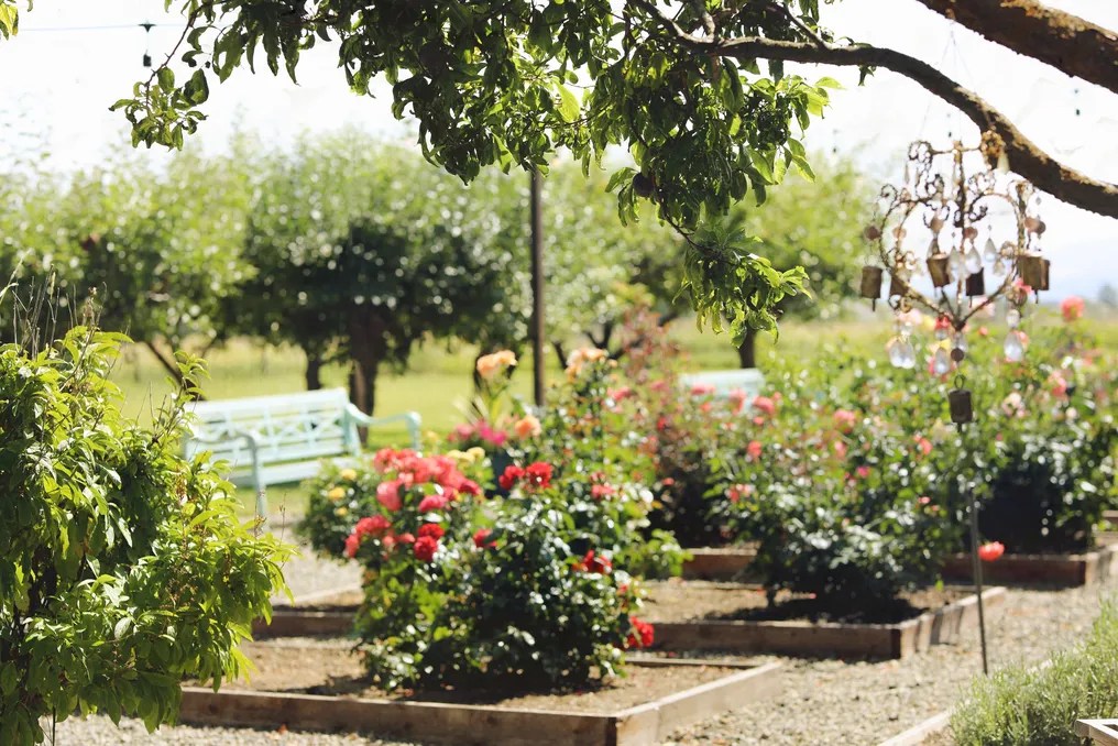 Brightside Vintage Farm #4