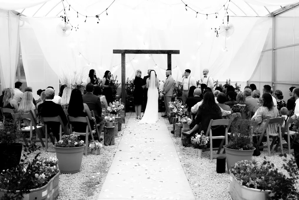 Stag Valley Weddings #1