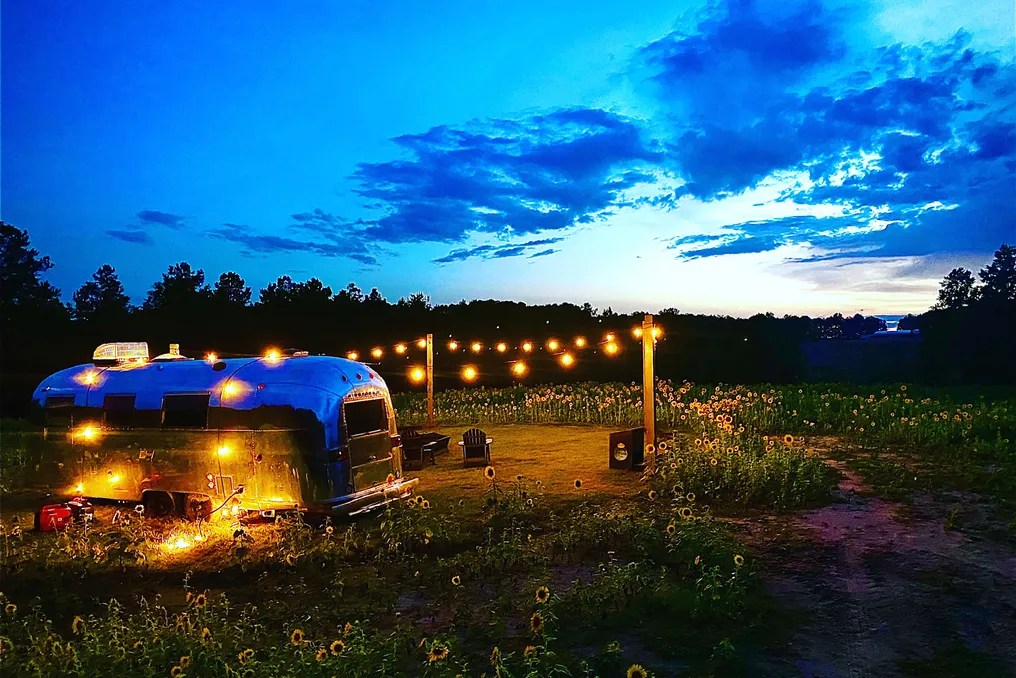 Stag Valley Weddings #2
