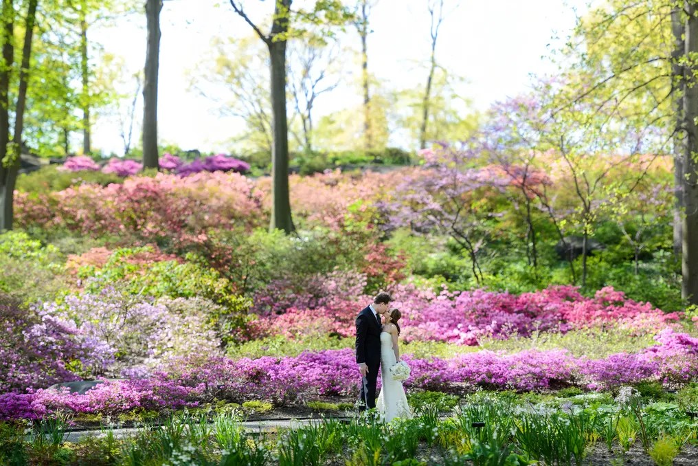The New York Botanical Garden #1