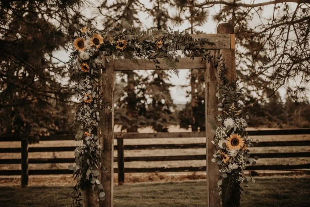 Coleman Guest Ranch #3