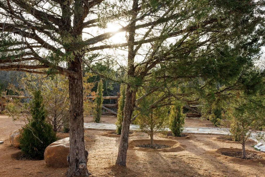 Hera's Haven Wedding & Event Venue #3