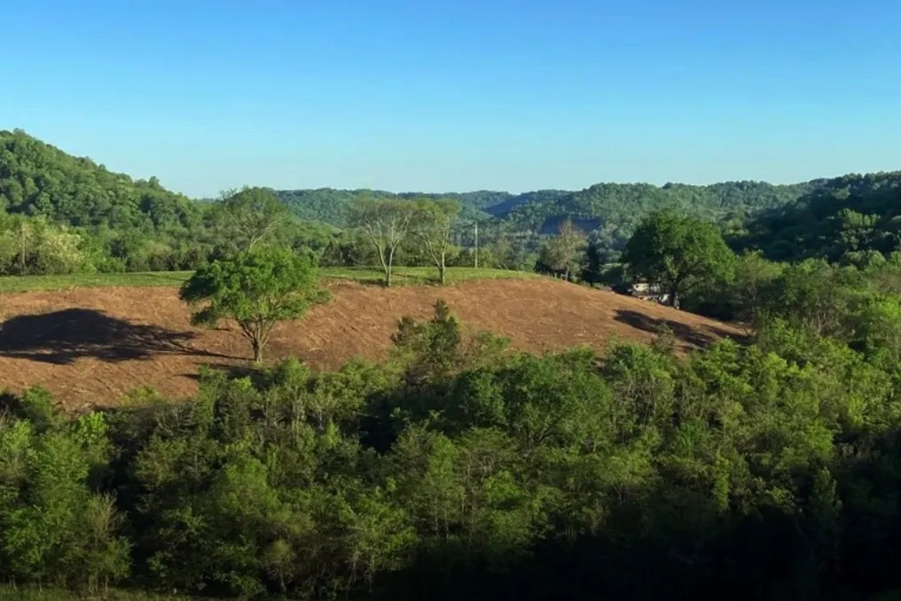 Short Hollow Farms #5