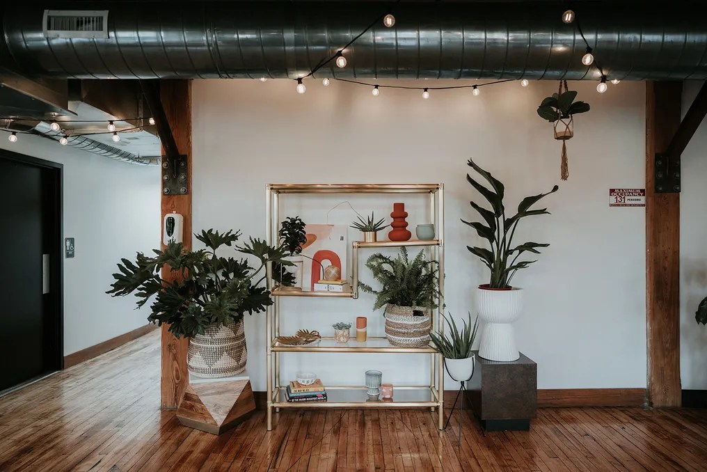 Record Box Loft #6