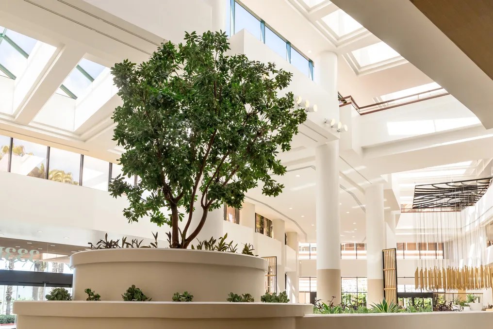 The Westin Long Beach #15