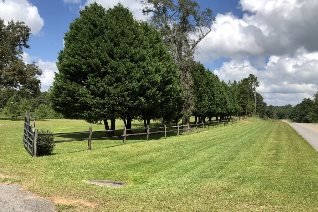 South Laurel Farm #60