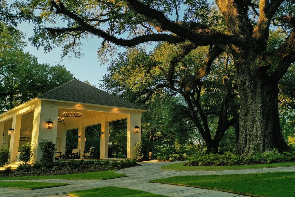 The Reed House at Live Oaks #10
