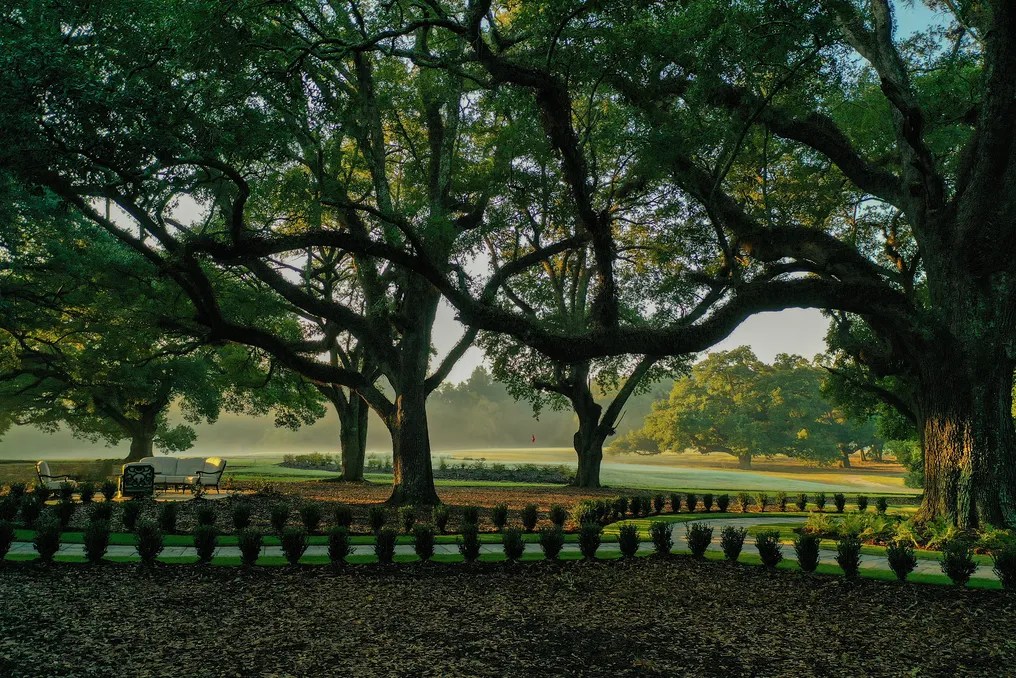 The Reed House at Live Oaks #18