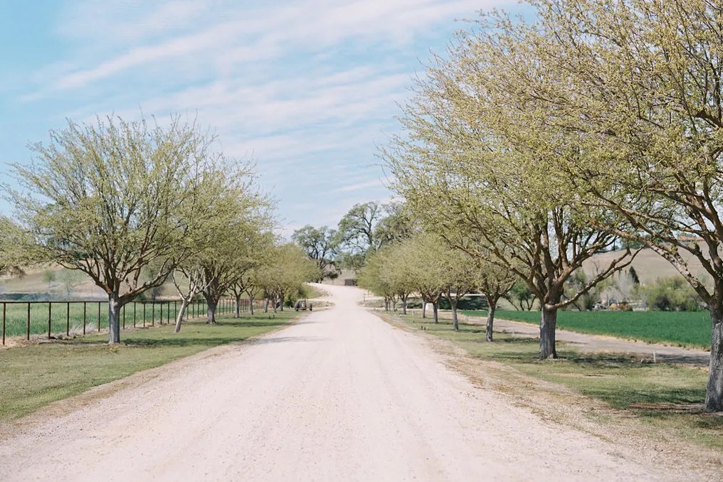 Willow and Oak Estate #19