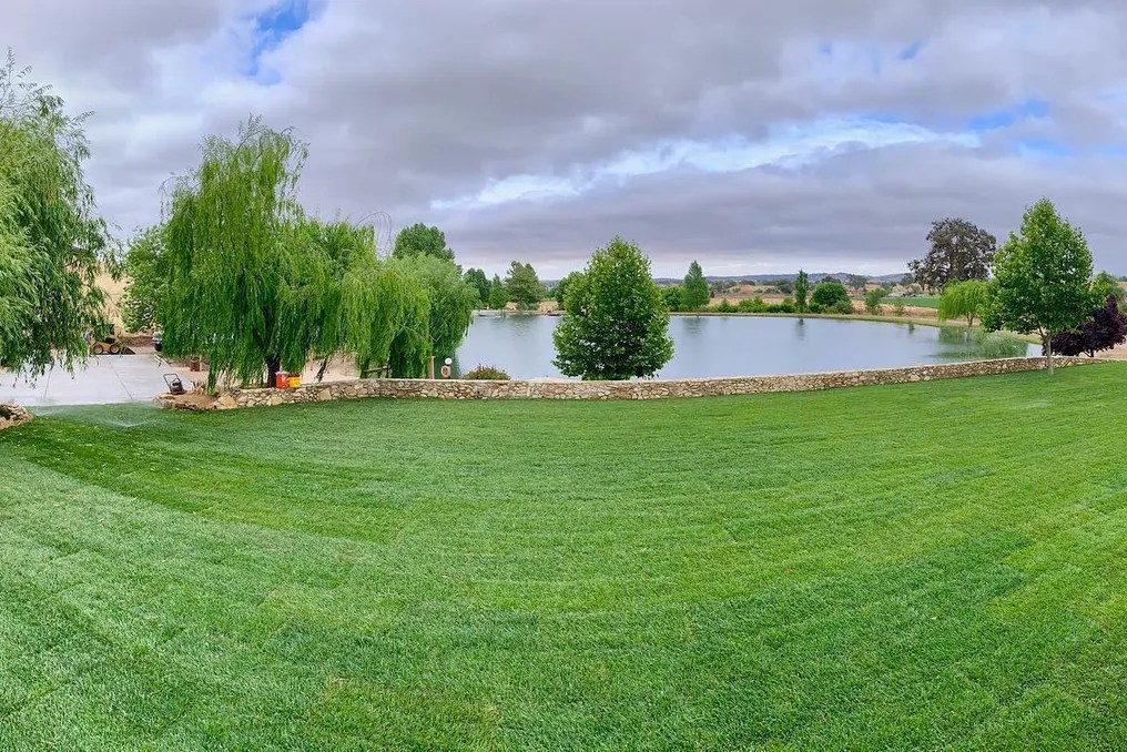 Willow and Oak Estate #51