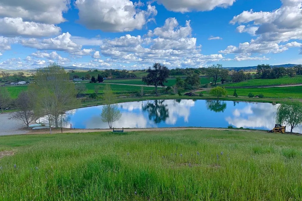 Willow and Oak Estate #56