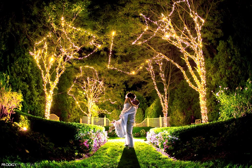 Majestic Gardens #11