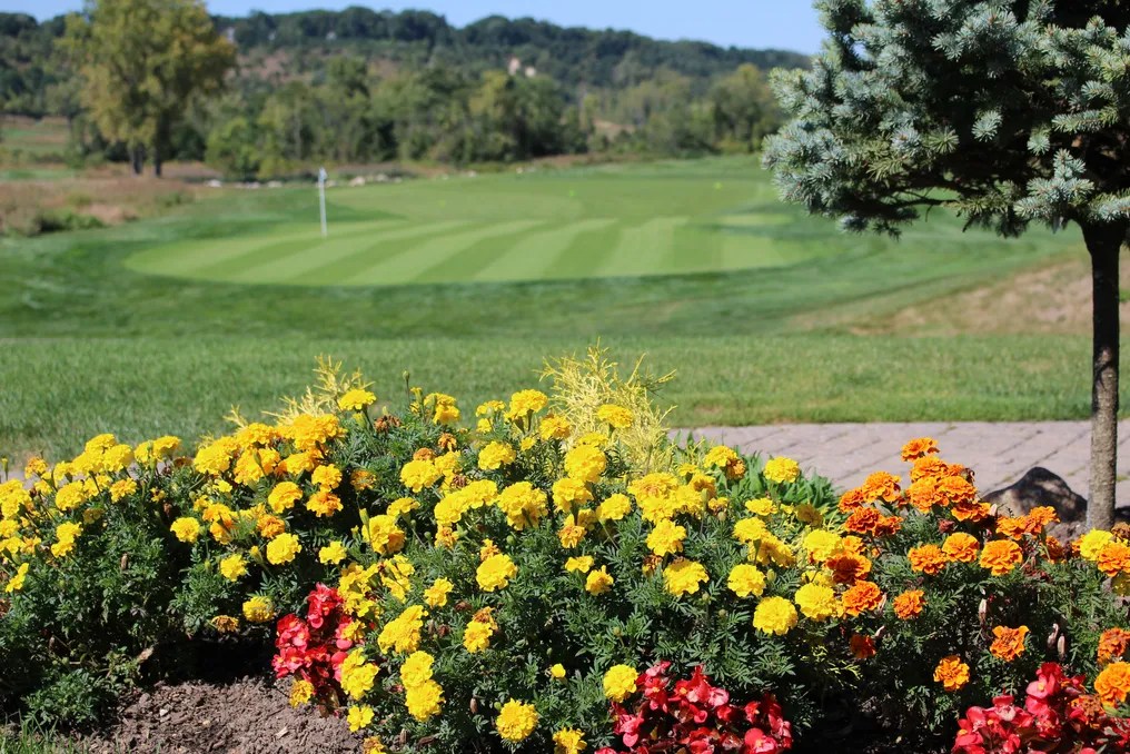 Harbor Links #15