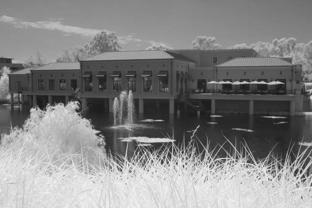 The Pacific Club #2