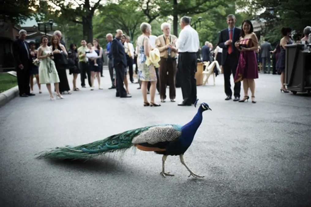 Bronx Zoo - NY Zoos & Aquarium #4