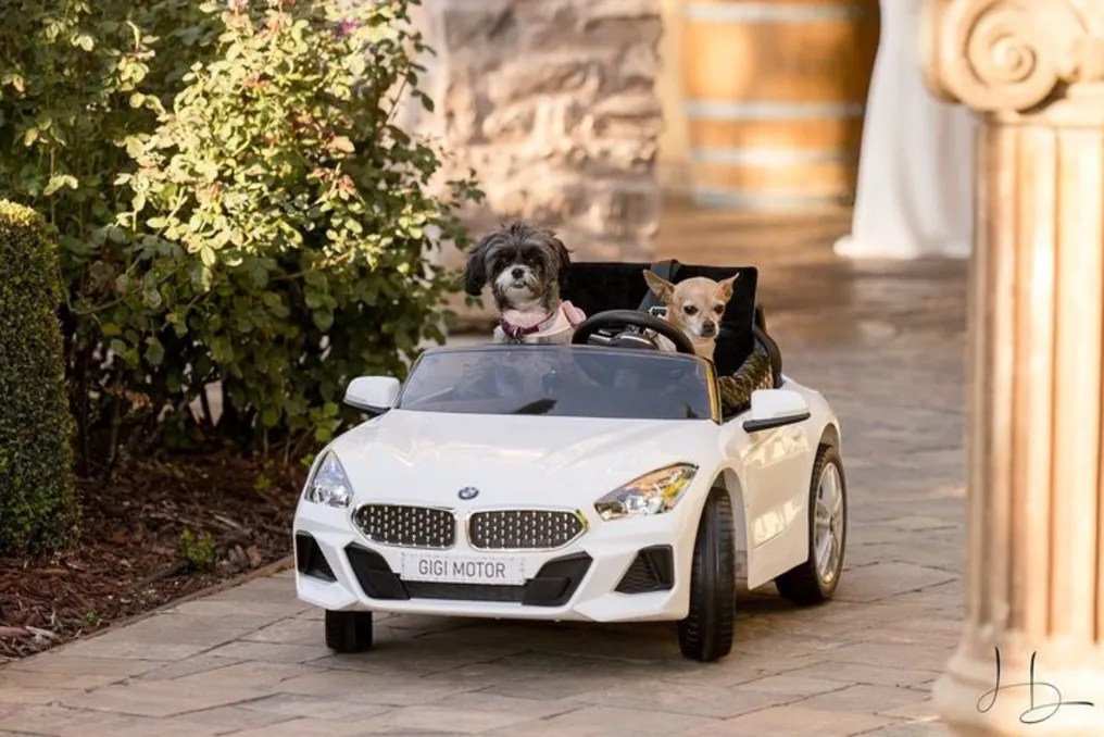 Regale Winery and Vineyards #4