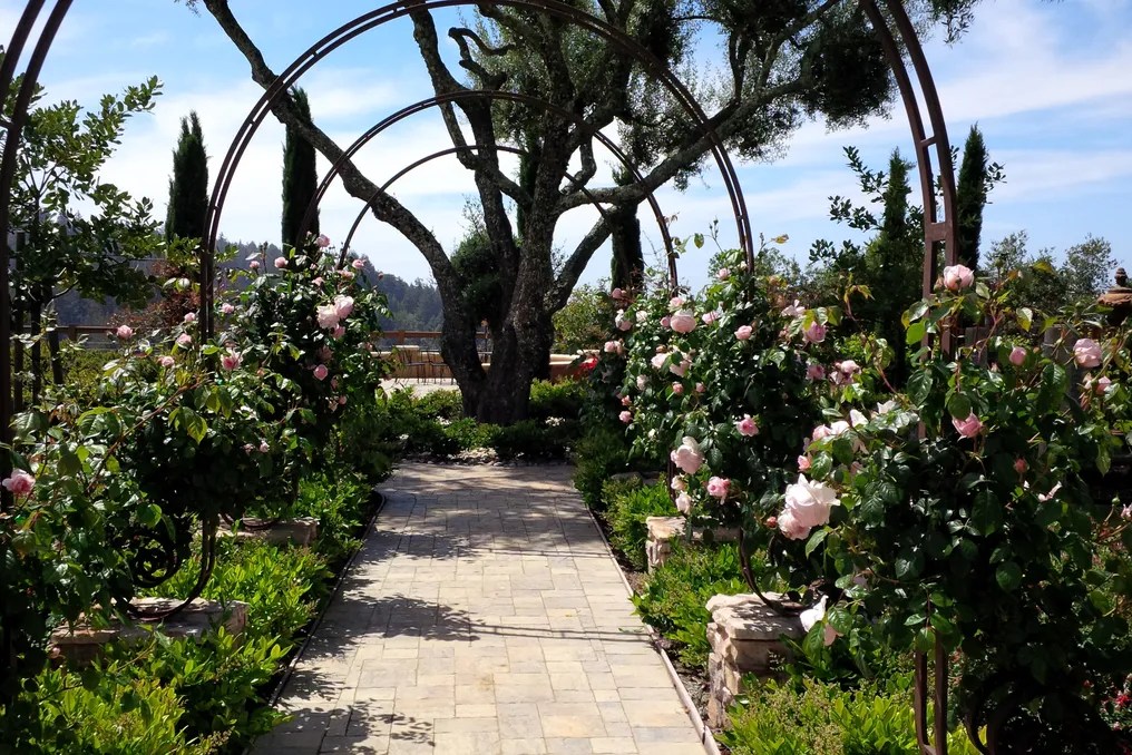 Regale Winery and Vineyards #10
