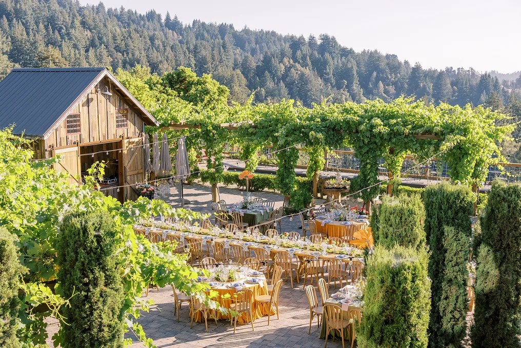 Regale Winery and Vineyards #16