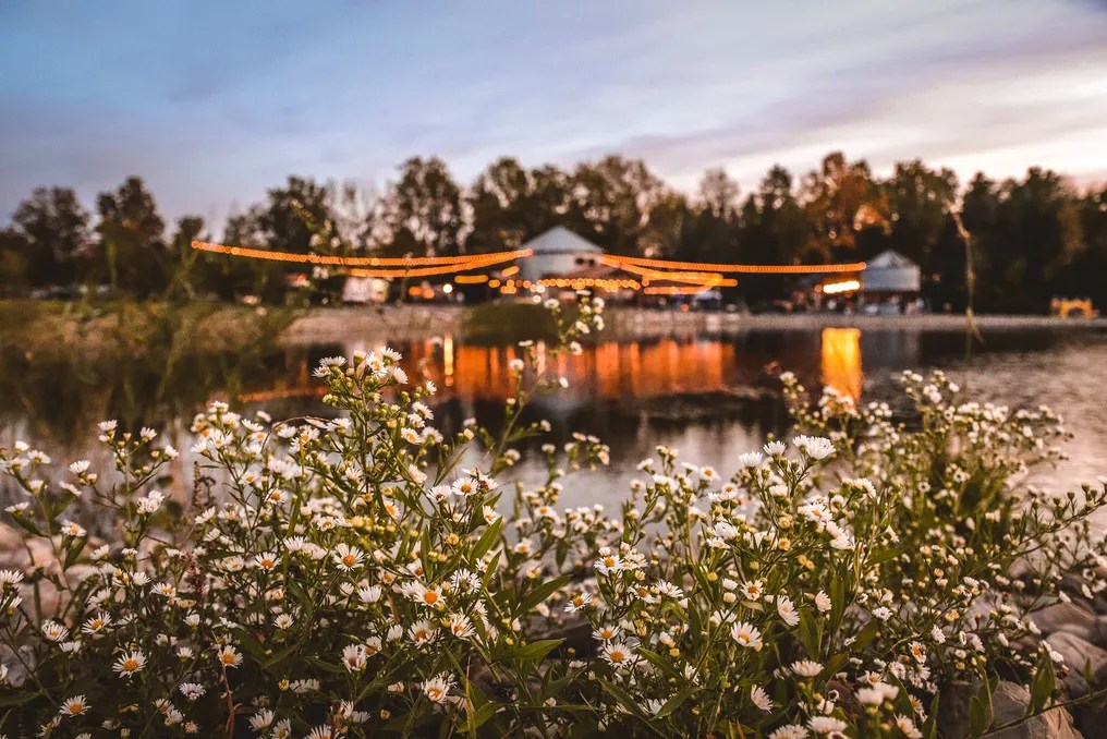 Lincoln Hill Farms #15