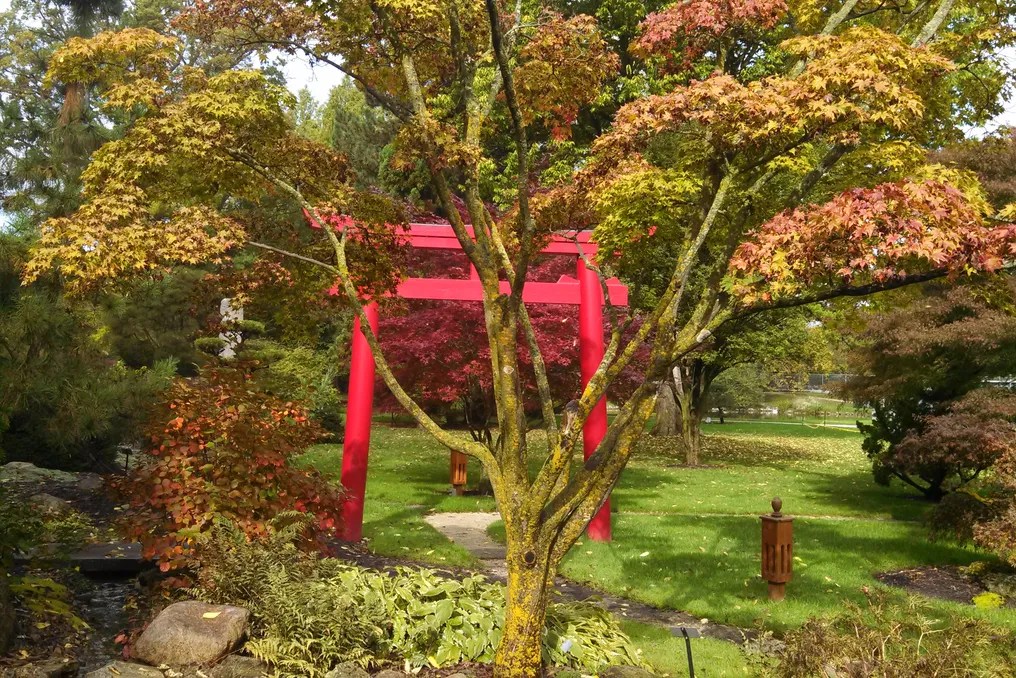 Schedel Arboretum & Gardens #11