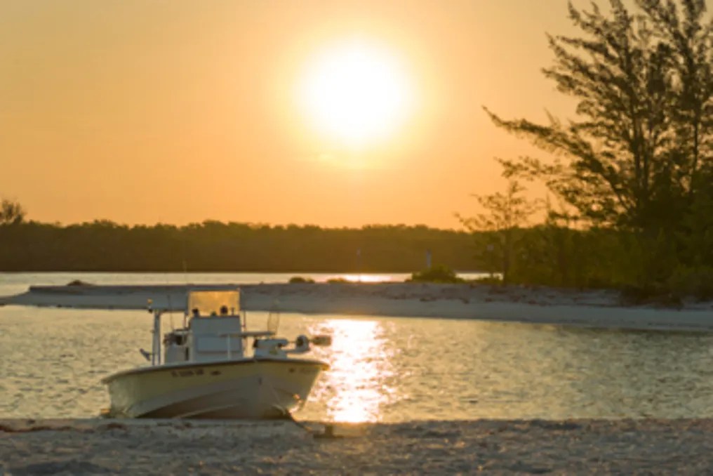 Palm Island Resort #19