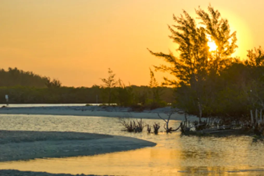 Palm Island Resort #32