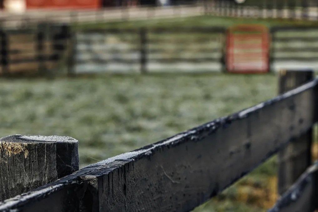 The Barn at Blystone Farm #84