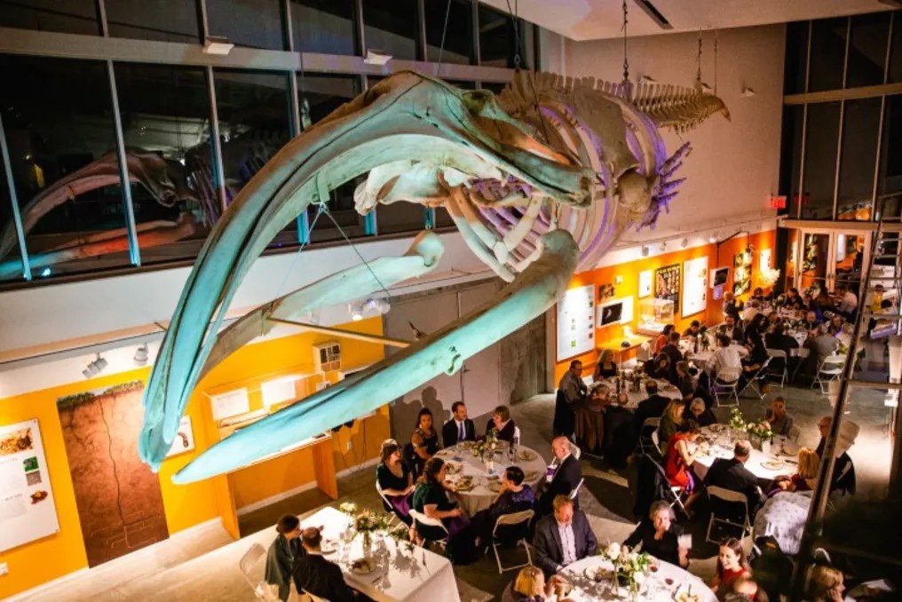 Museum of Earth #1