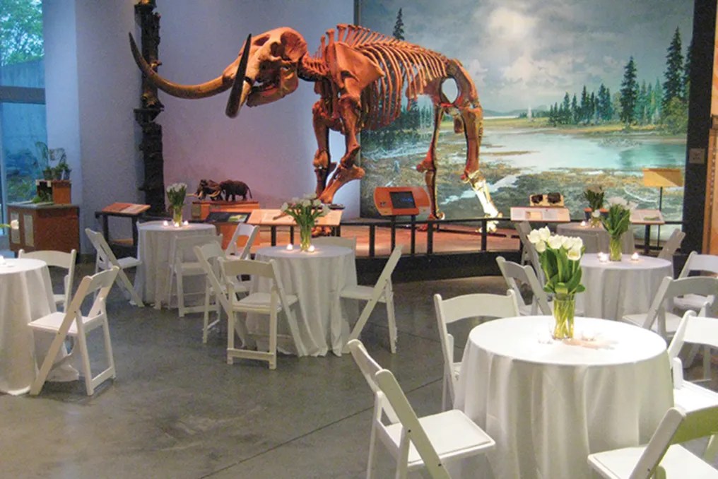 Museum of Earth #8