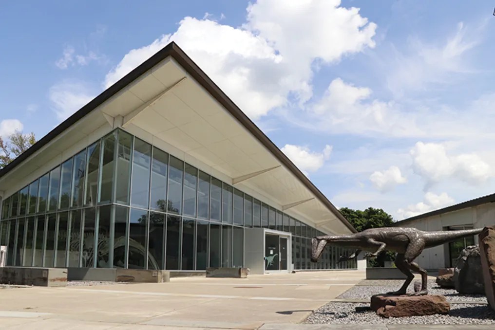 Museum of Earth #9