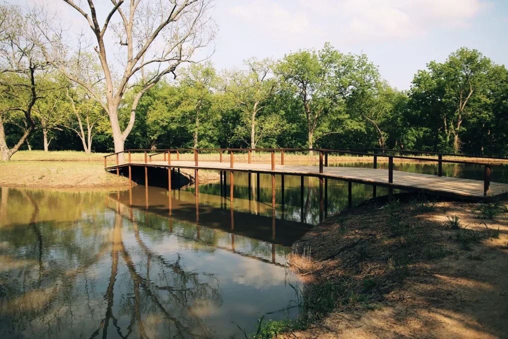 Cherokee Grove Outdoors #1