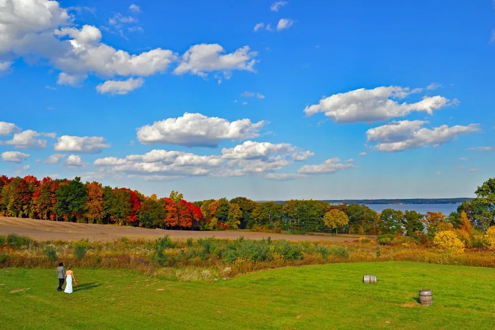Once Finger Lakes #1