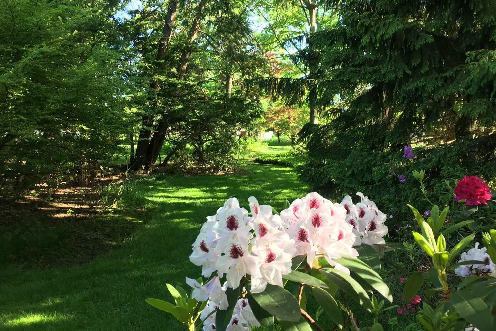Westcroft Gardens & Farm #2