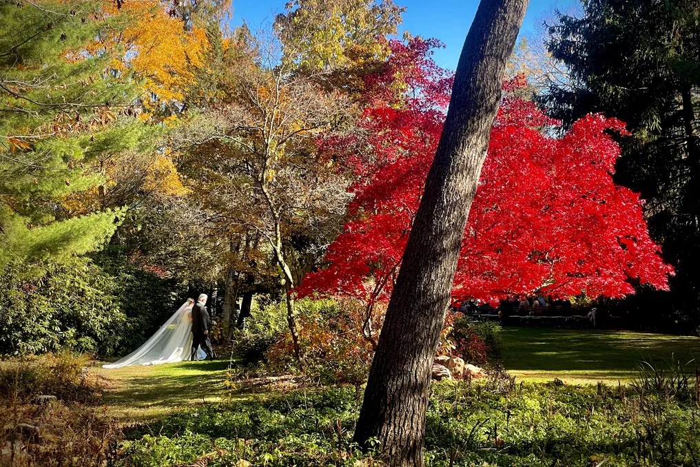 Westcroft Gardens & Farm #10