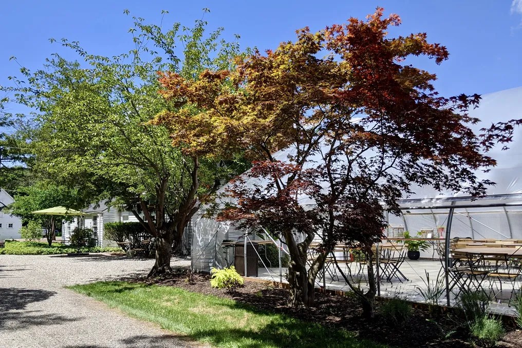 Westcroft Gardens & Farm #13