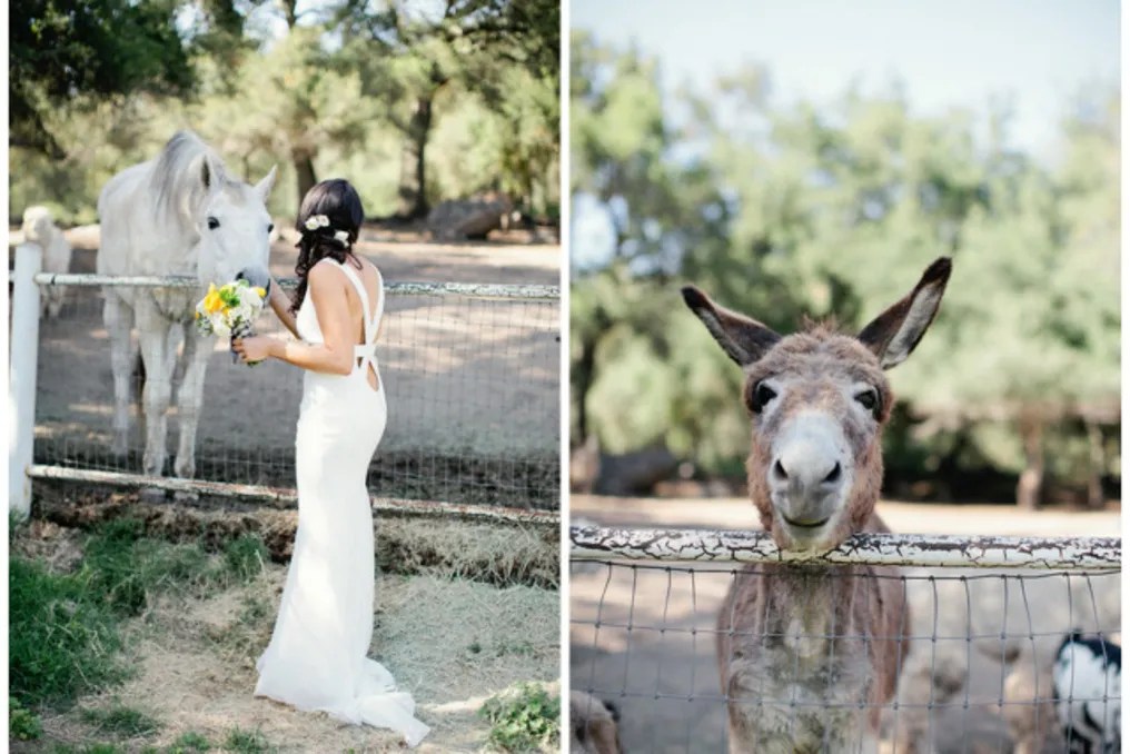 The Condor's Nest Ranch #35