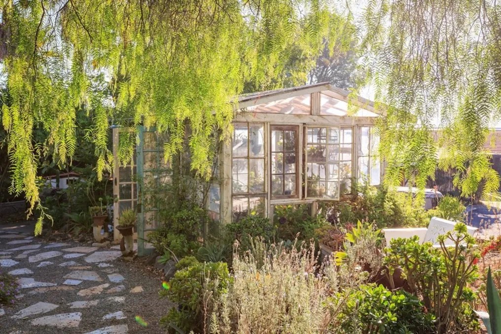 The Condor's Nest Ranch #37