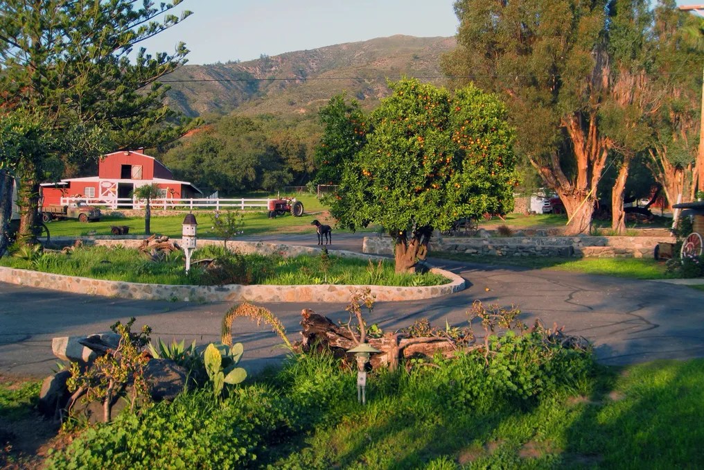 The Condor's Nest Ranch #40