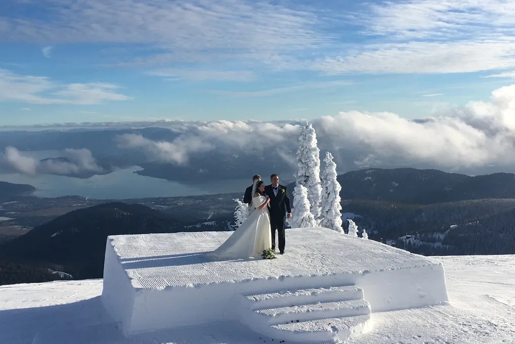 Schweitzer #4
