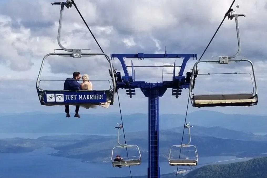 Schweitzer #16