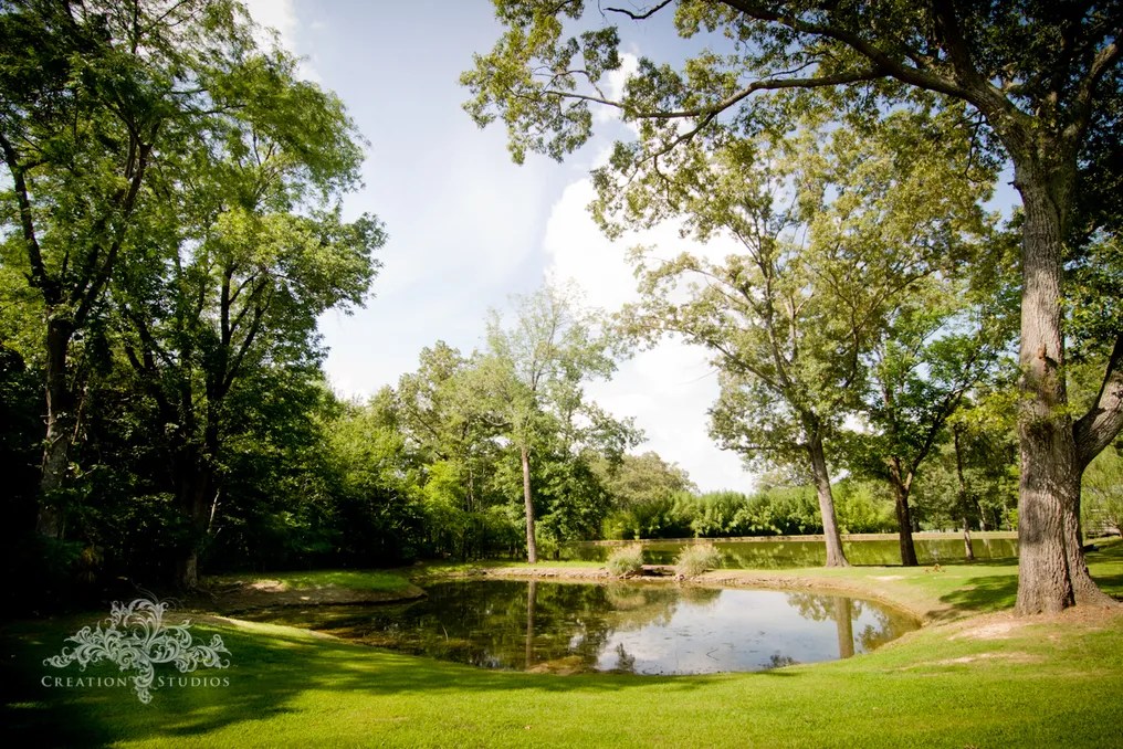 Heartwood Hall #20