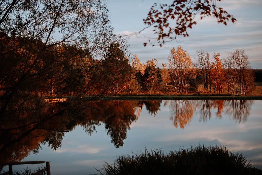 Seven Ponds Farm Estate #22