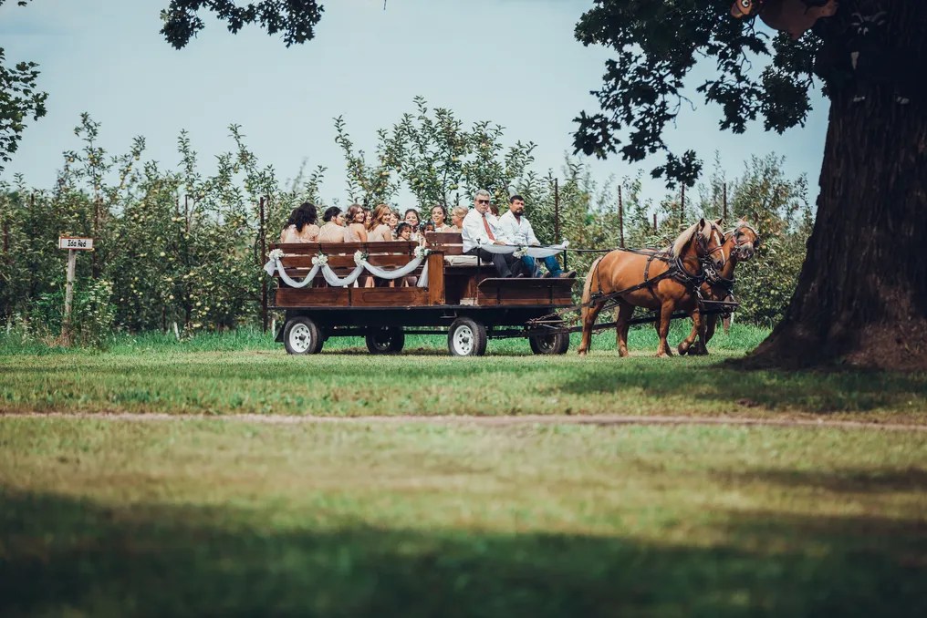 Apple Holler #16