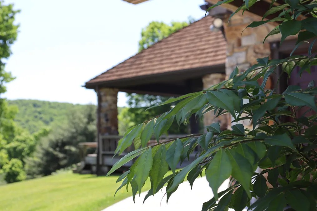 Oak Lodge #36