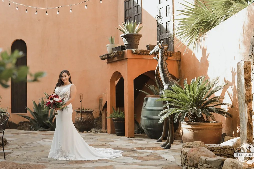 Agave Estates #20