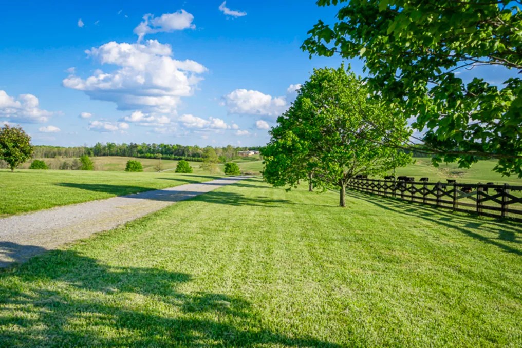 Crestview Farms #25