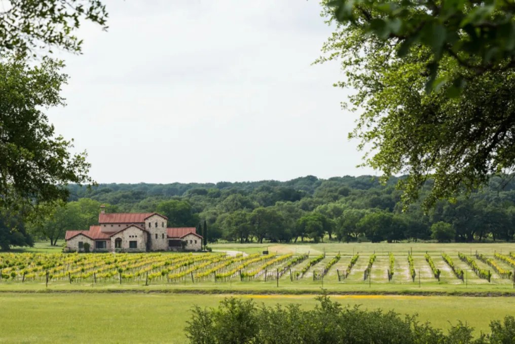 The Vineyard At Florence #6